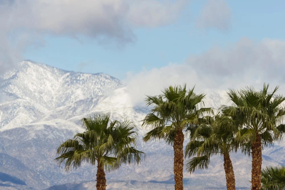 california winter